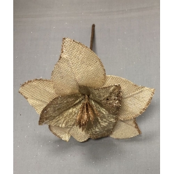 Poinsettia Gold 7"